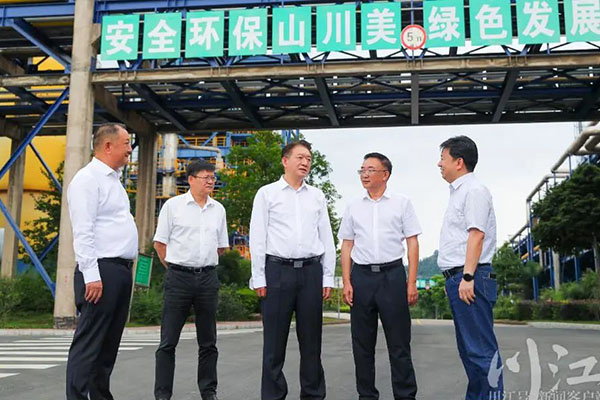 楊林興：把新型工業(yè)化擺在更加突出的位置，讓“四化同步”發(fā)展的主引擎作用更加凸顯